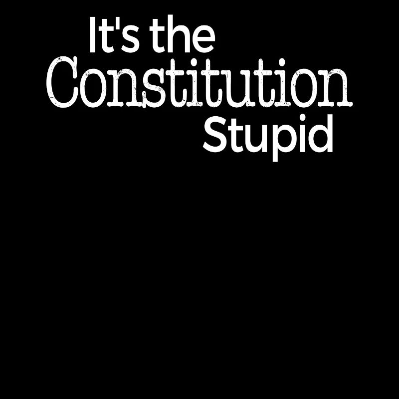 It's The Constitution Stupid