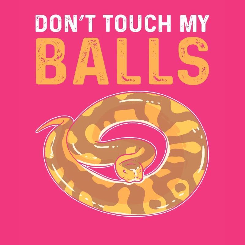 Ne touchez pas mes œufs. Royal Python