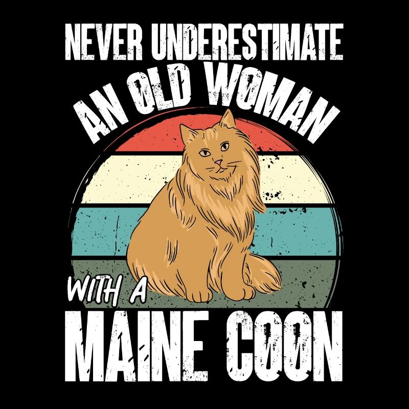 Maine Coon Chat