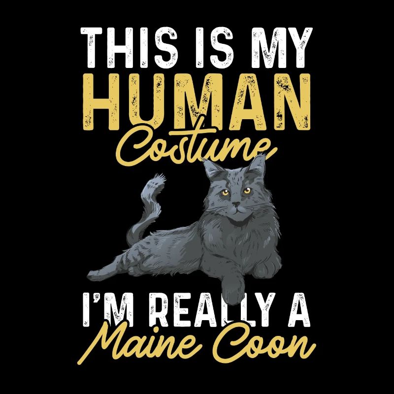 Maine Coon Katze