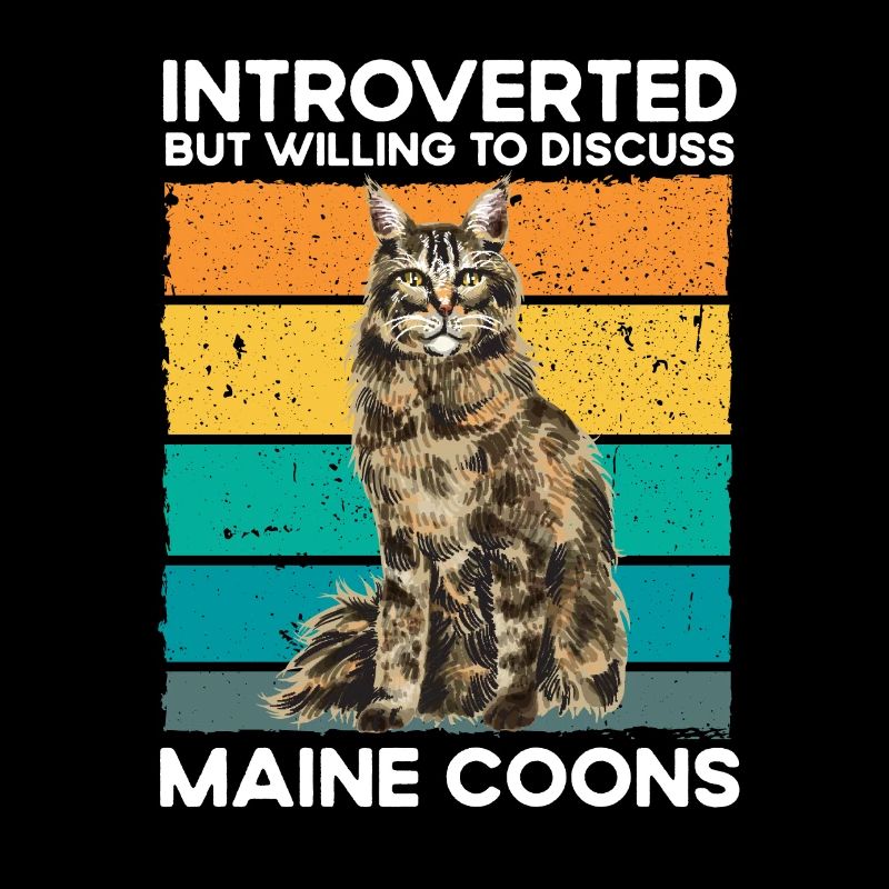 Maine Coon Chat