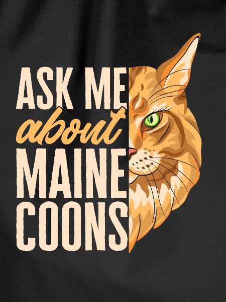 Maine Coon Cat