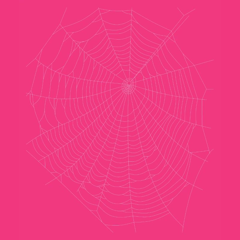 Réseau Web d’araignée Halloween Web