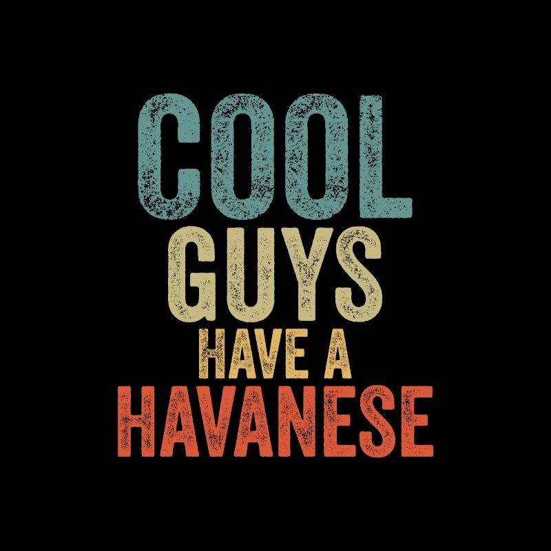 Cool Guys have a havanese