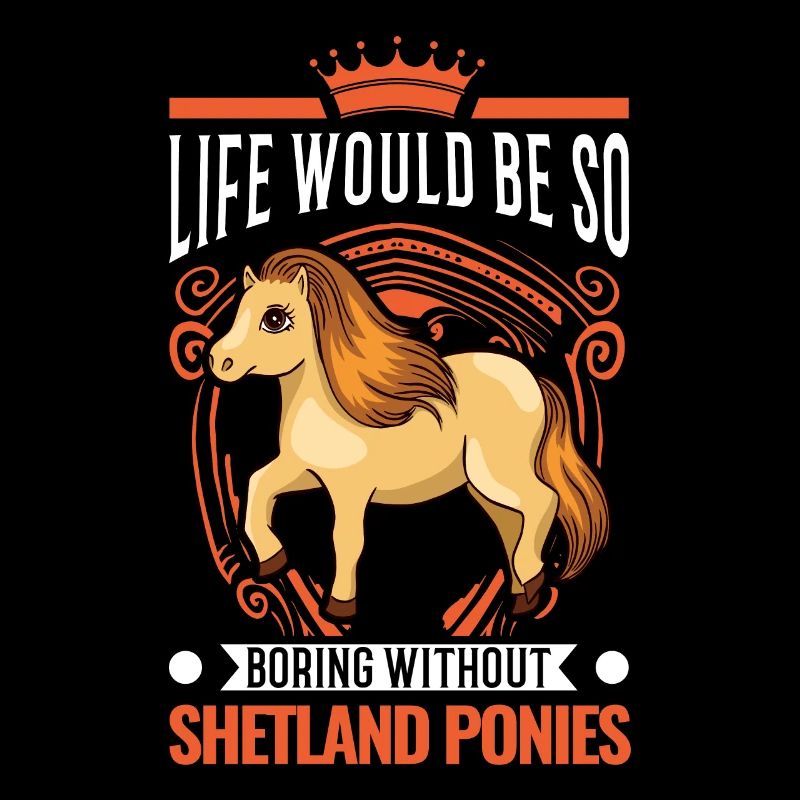 Shetland Pony Gift Shetty