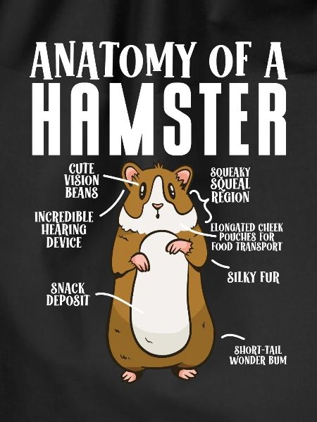 Hamster Gift Hamster Lovers