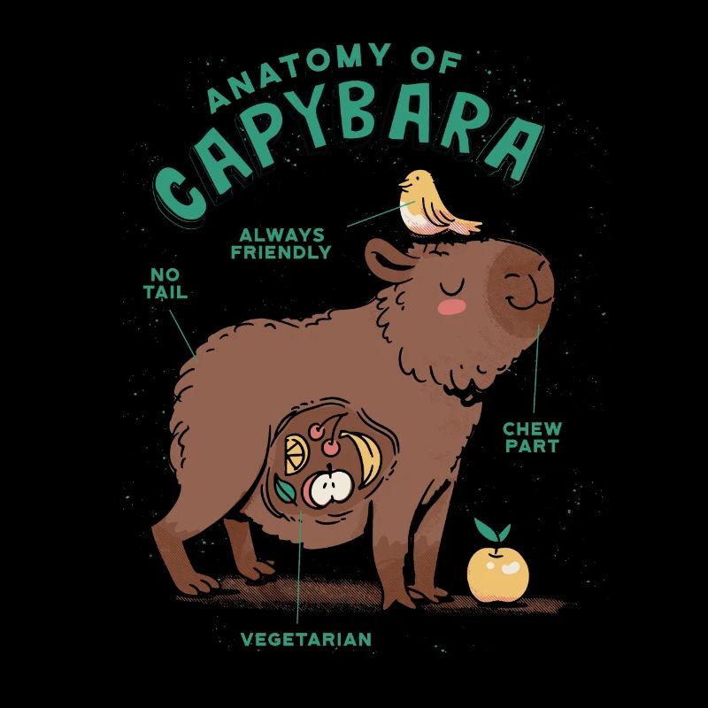 Anatomie Eines Capybara Süßes Capybara