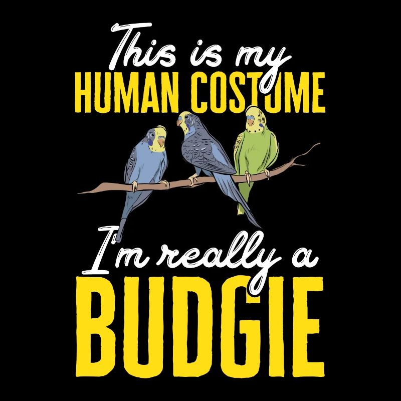 Budgerigar Perruche Oiseau Cadeau pour animaux de compagnie