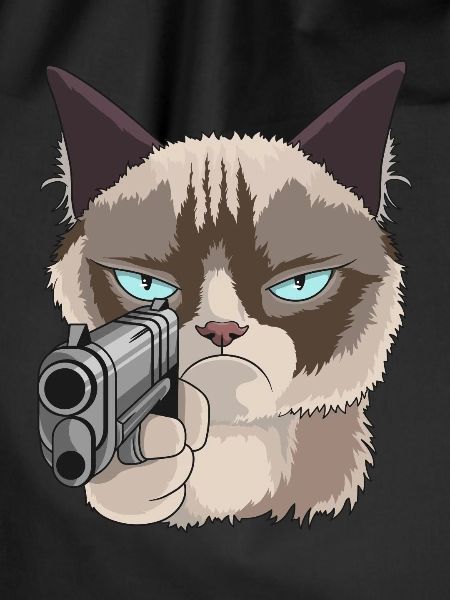 Cat with pistol