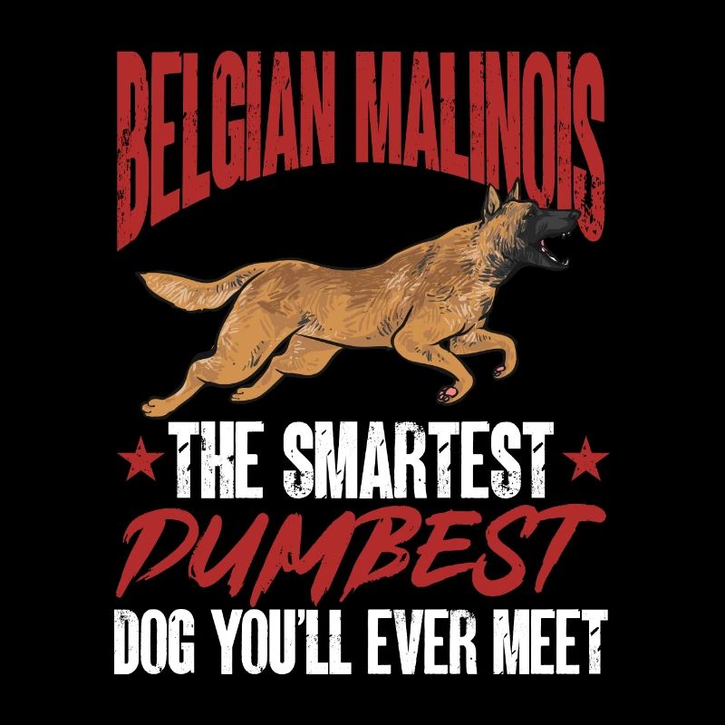 Malinois Belgian Shepherd Mechelaar Dog