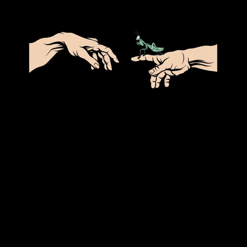 Gottesanbeterin Mantis religiosa Lustiges Mantis