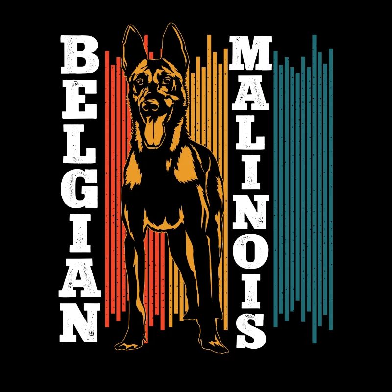 Malinois Belgian Shepherd Mechelaar Dog