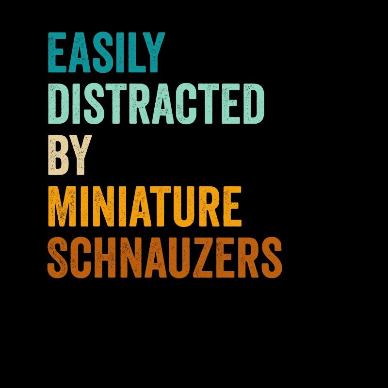 Facilement distrait par les schnauzers miniatures