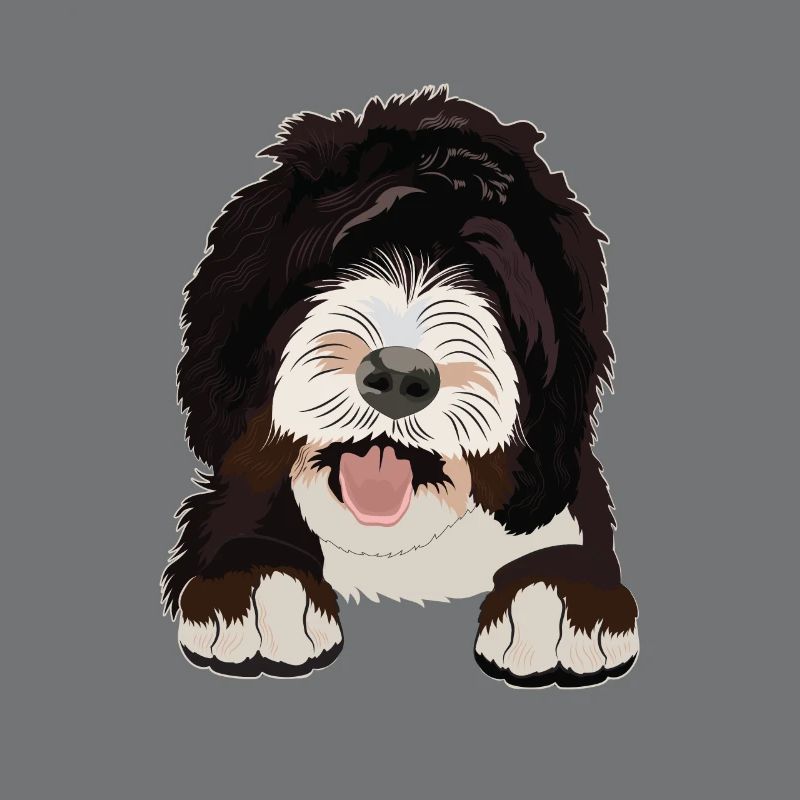 Cadeau de chien Sheepadoodle