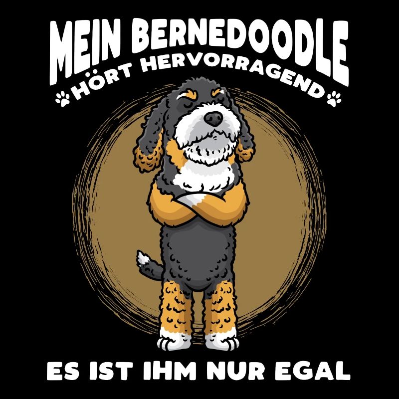 Stur Bernedoodle Hund