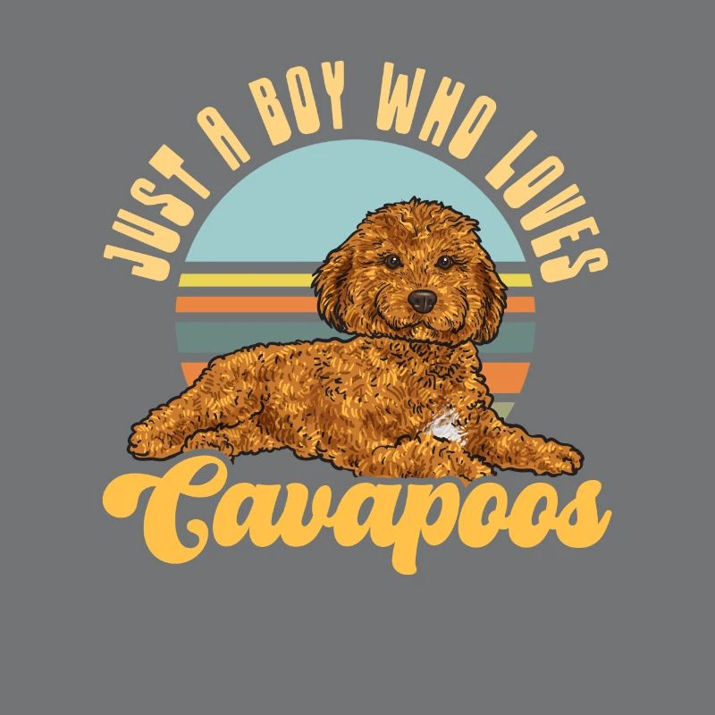 Cavapoo Cavoodle Capoodle Chien