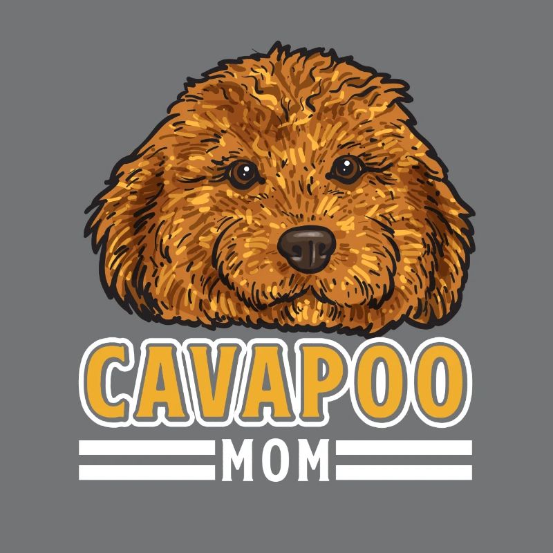 Cavapoo Cavoodle Capoodle Chien