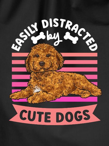 Cavapoo Cavoodle Capoodle Dog