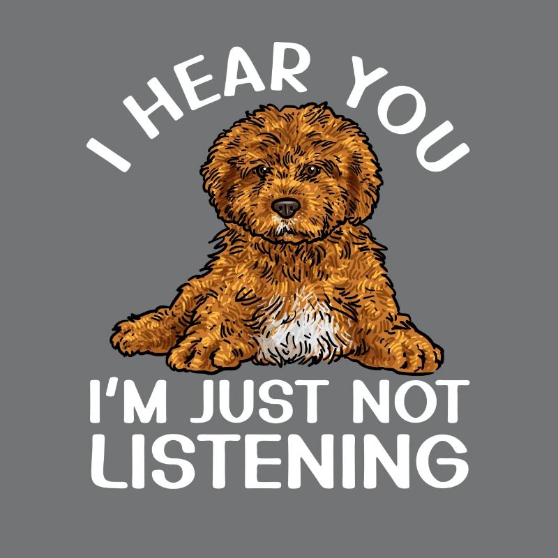 Cavapoo Cavoodle Capoodle Hund