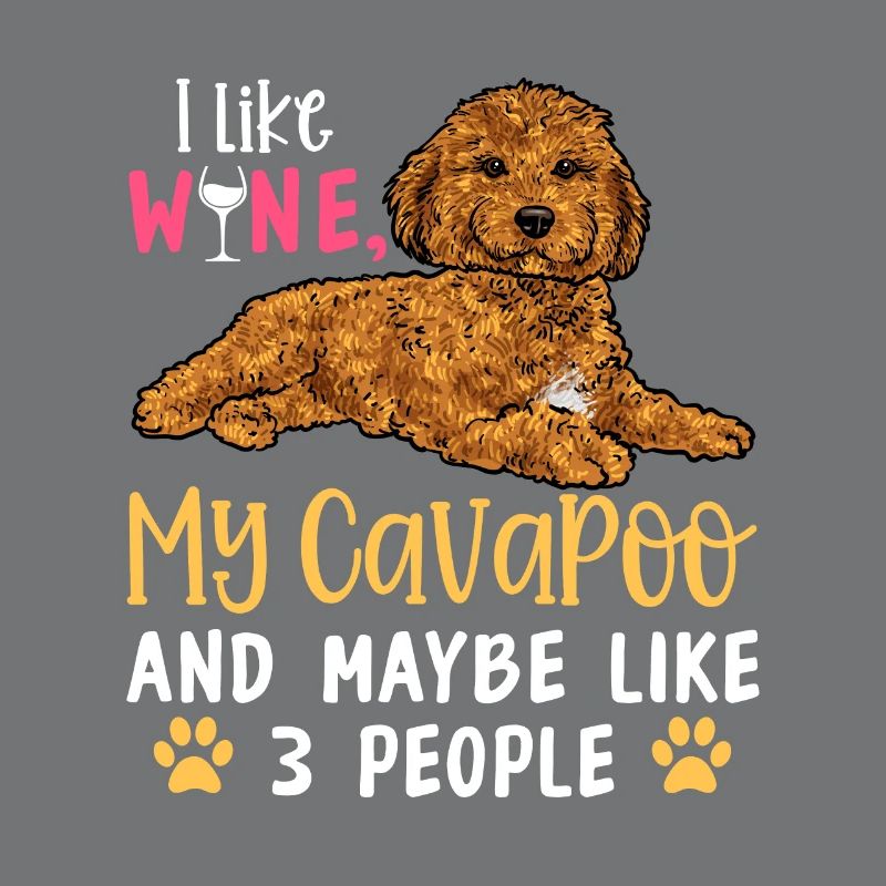 Cavapoo Cavoodle Capoodle Hund