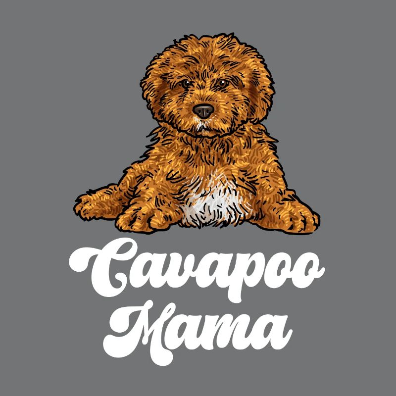 Cavapoo Cavoodle Capoodle Hund