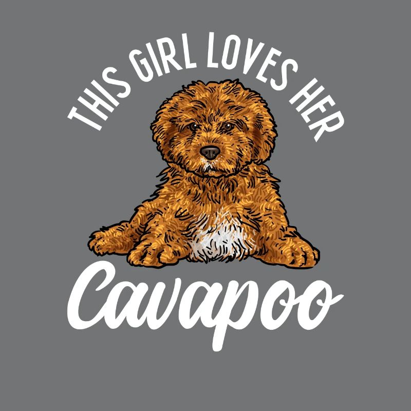 Cavapoo Cavoodle Capoodle Chien