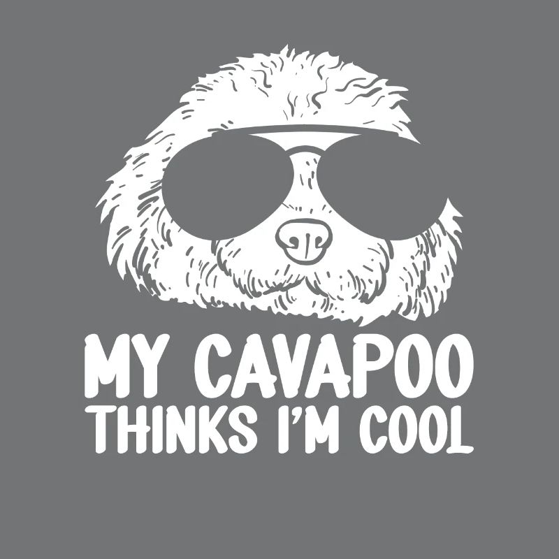 Cavapoo Cavoodle Capoodle Dog