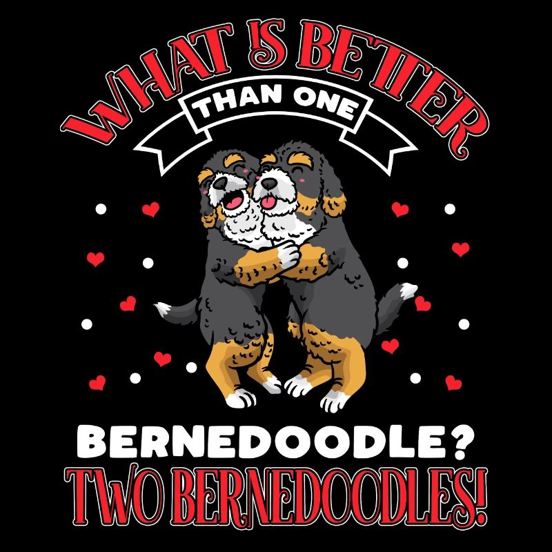 Bernedoodle Liebhaber