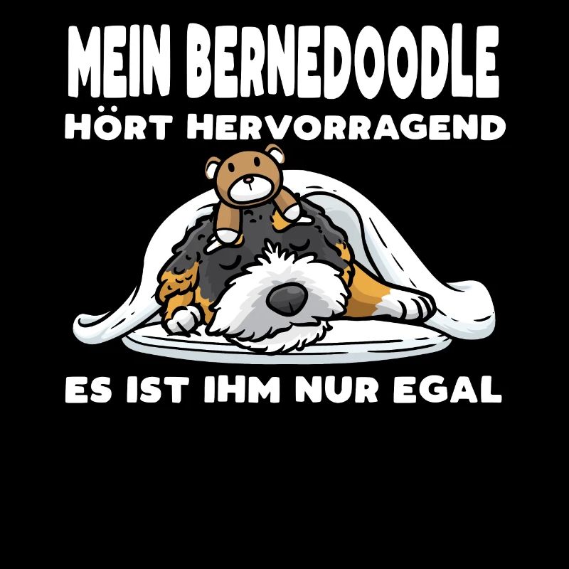 Bernedoodle Hund