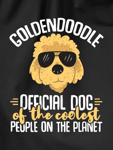 Goldendoodle Doodle Dog