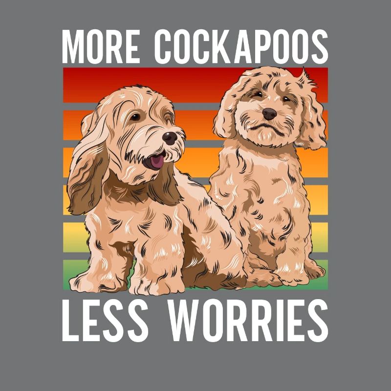 Cockapoo Hund