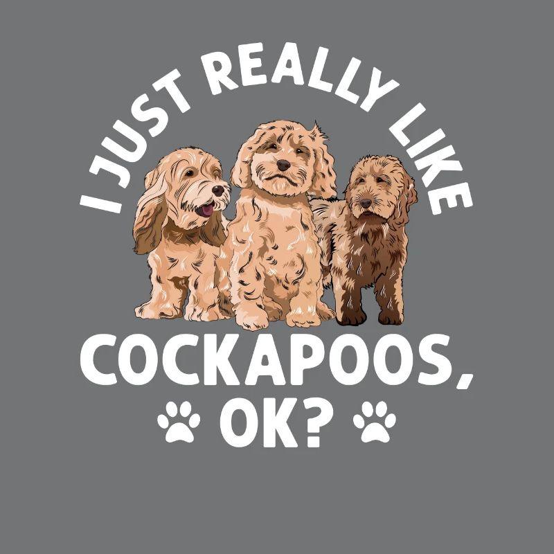 Cockapoo Hund