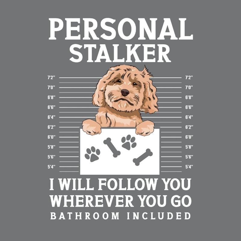 Cockapoo Dog
