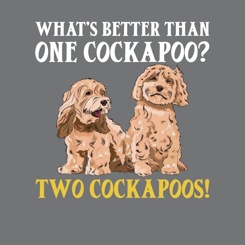 Cockapoo Hund