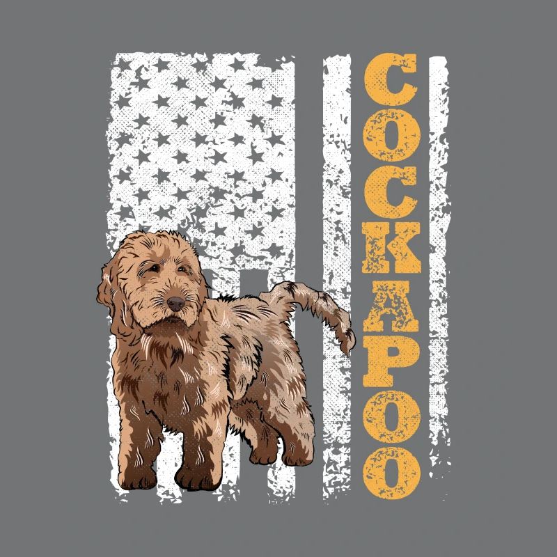 Cockapoo Hund
