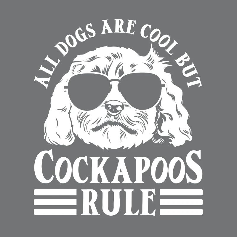 Cockapoo Hund