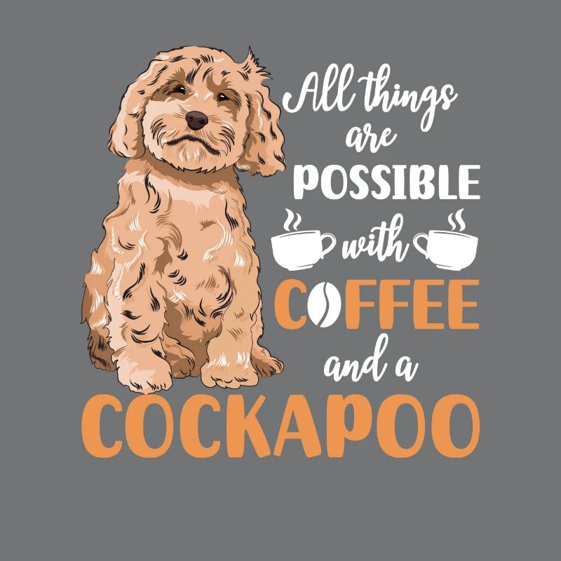 Cockapoo Hund