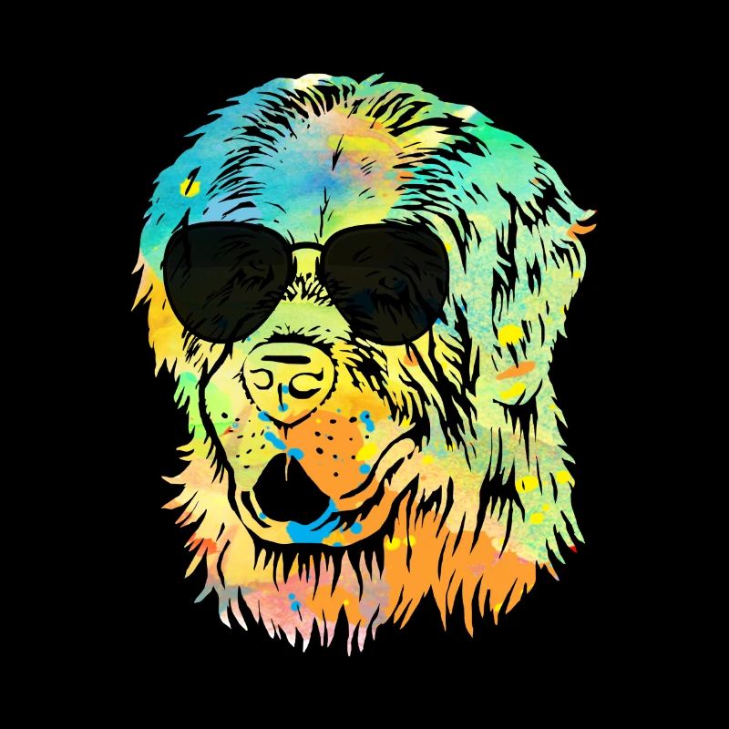 Newfoundland Newfoundland Dog