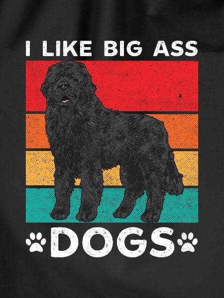 Newfoundland Newfoundland Dog