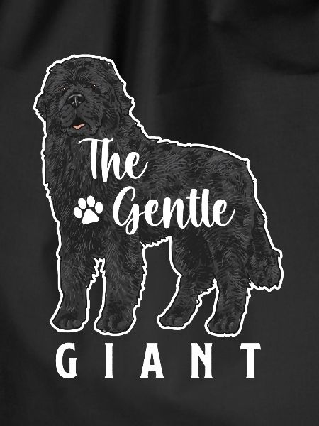 Newfoundland Newfoundland Dog