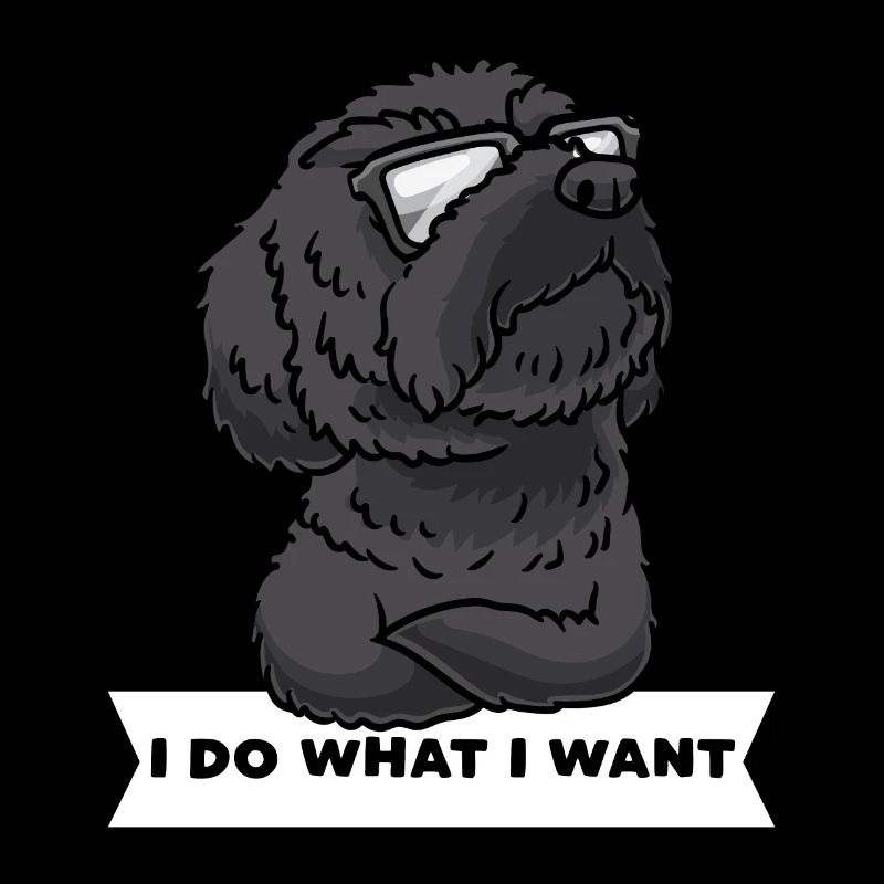 Schnoodle Hund Mit Sonnenbrille