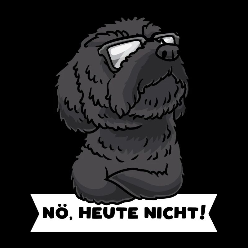 Schnoodle Hund Mit Sonnenbrille Stur