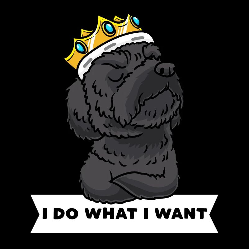 Schnoodle Hund Mit Krone