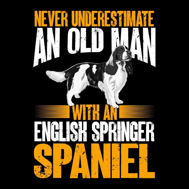 English Springer Spaniel Dog