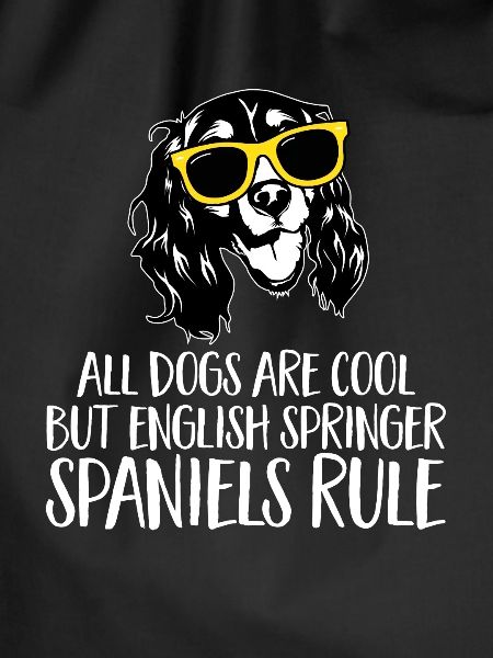 English Springer Spaniel Dog