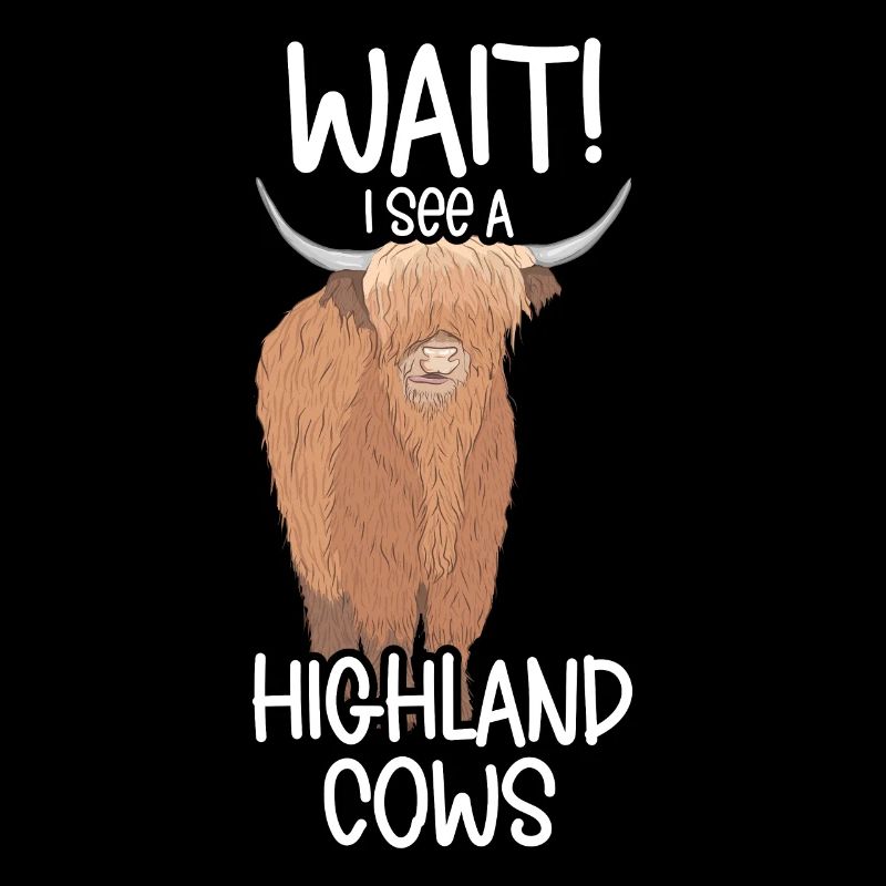 Vache des Highlands
