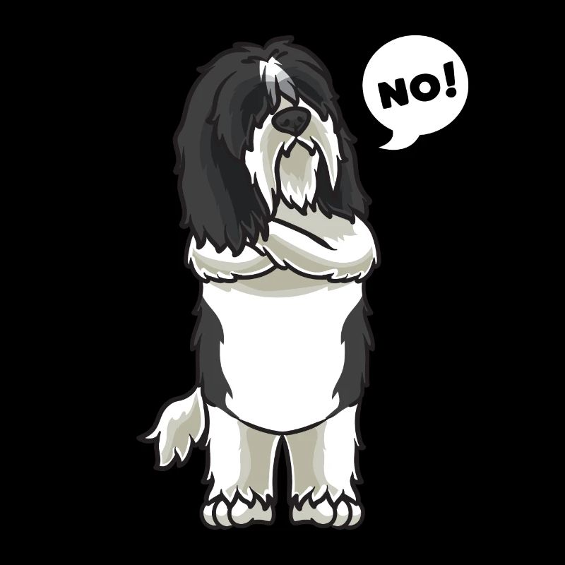 Le chien de Schapendo