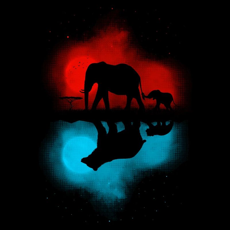 Elephant Reflection Bear