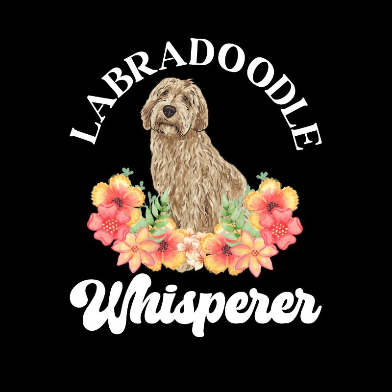 Labradoodle Hund