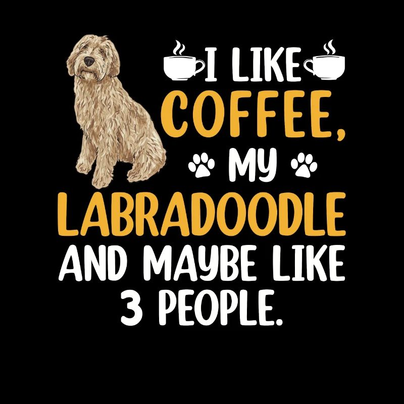 Labradoodle Hund